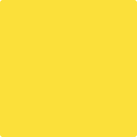 336 Bold Yellow