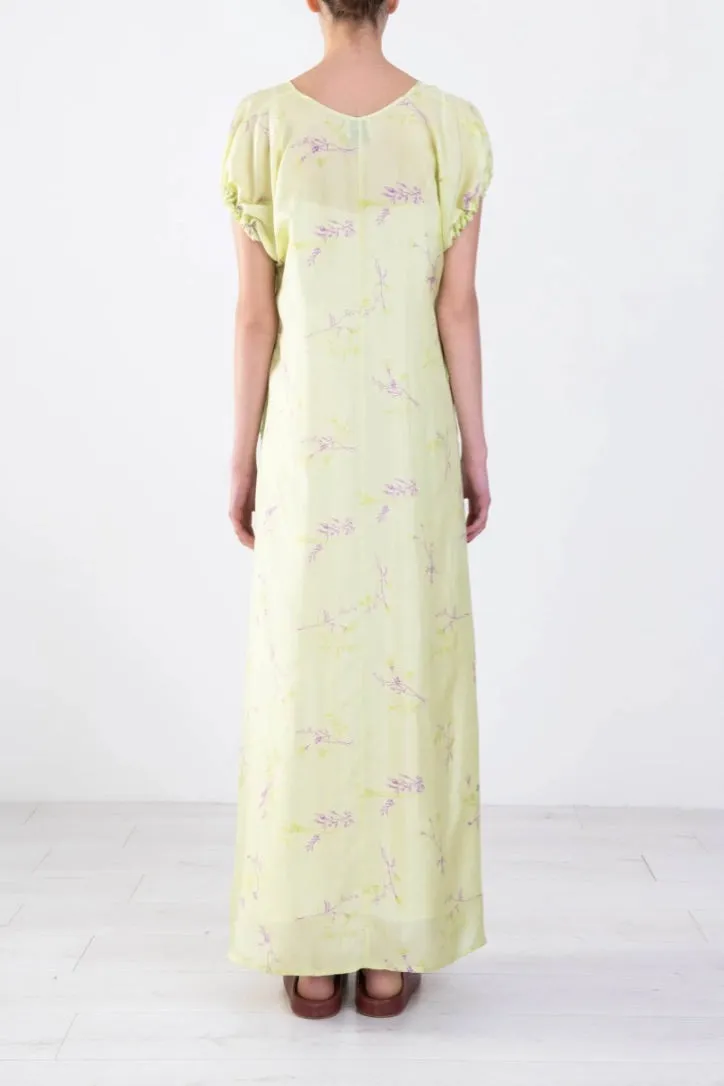 Alysi Creme - Maxi Bouquet Dress: Pistachio