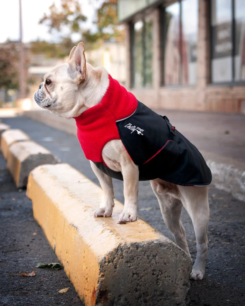 Chilly Dogs Jacket Great White North Broad & Burly Fit