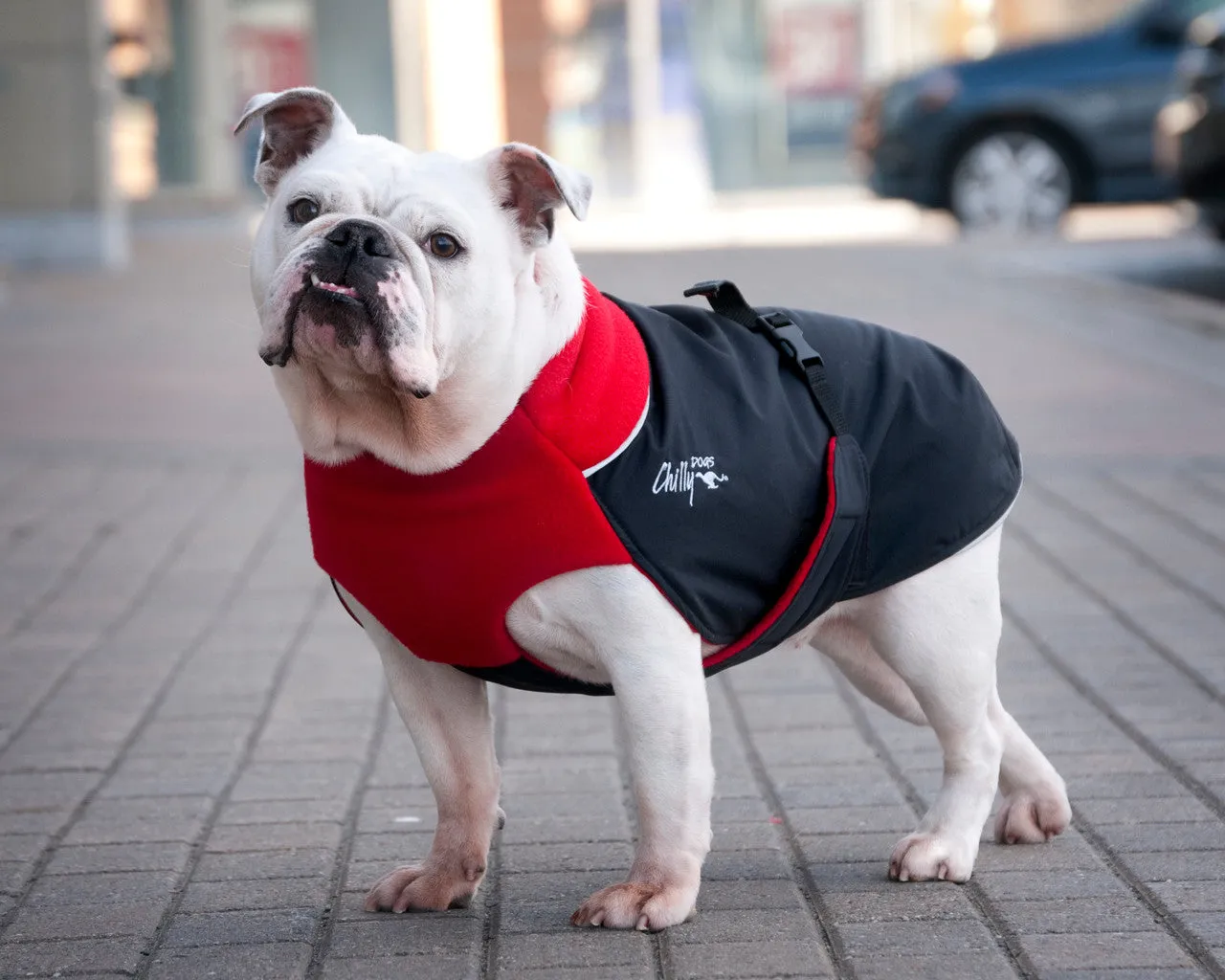Chilly Dogs Jacket Great White North Broad & Burly Fit